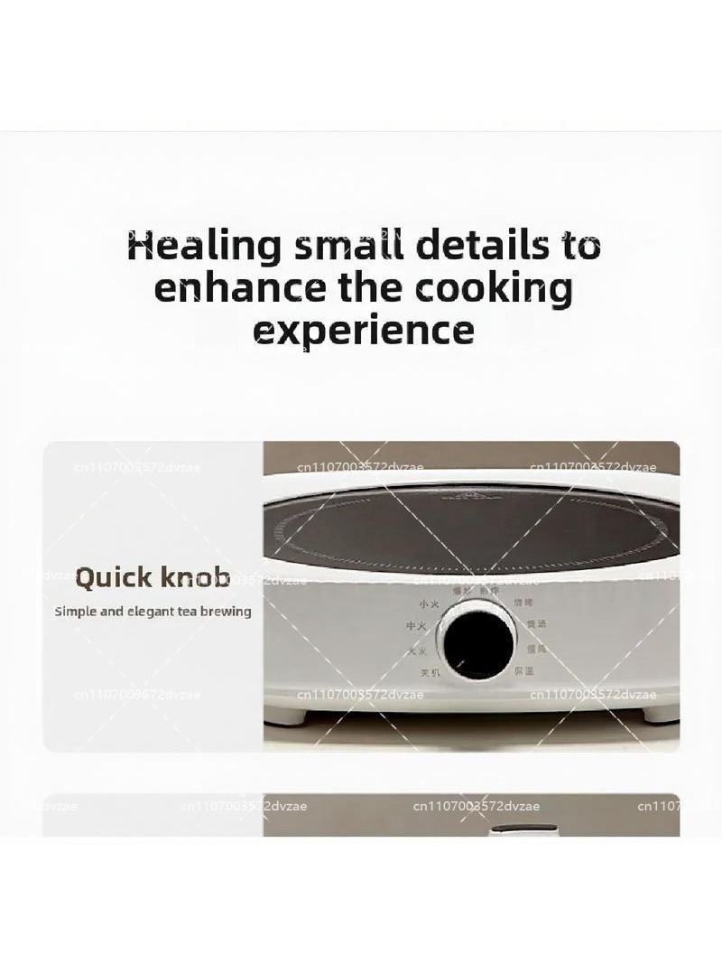 Electric Ceramic Stove Smart I - مراجعة Induction Cooktop Portable وسعره