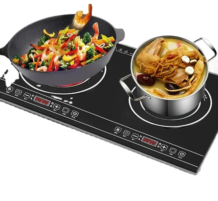 Portable Electric Double Stove - مراجعة Induction Cooktop Portable وسعره